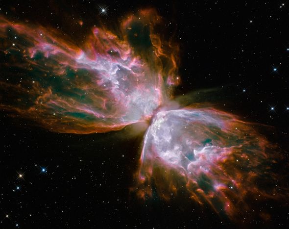 The Butterfly Nebula