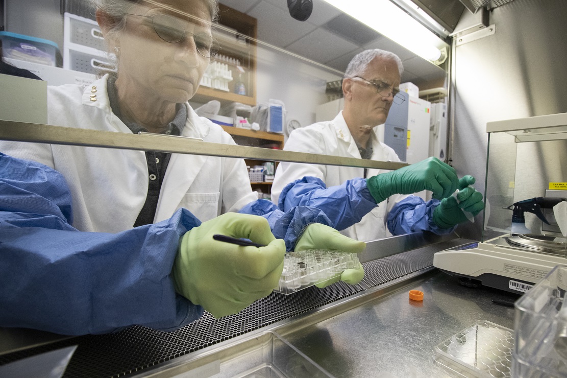 (From left) Anna-Lisa Paul and Rob Ferl of the University of Florida's Institute of Food and Agricultural Sciences demonstrate the use of lunar soil.
