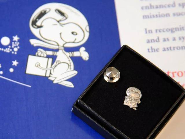 Snoopy Award