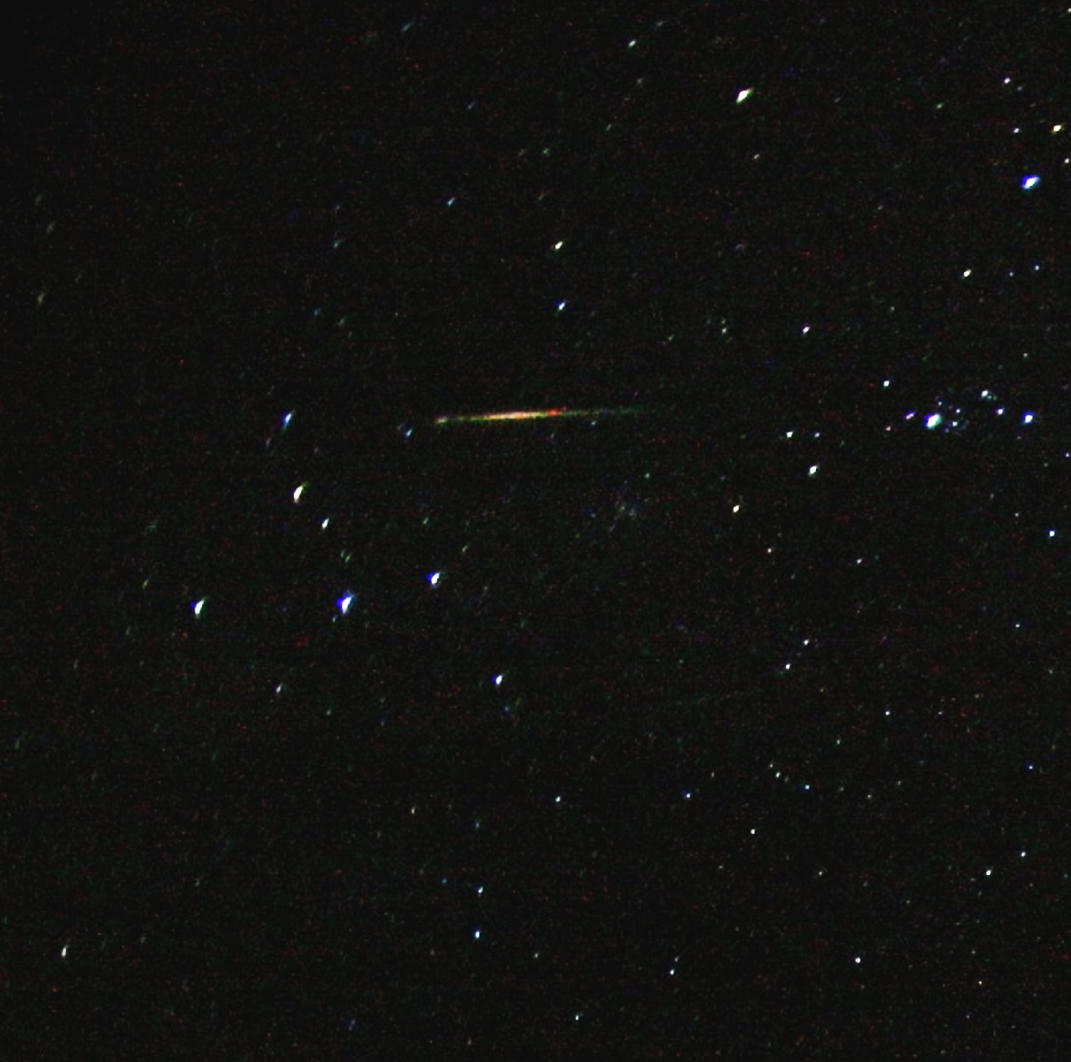 A multicolored Orionid.